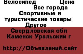 Велосипед Viva A1 › Цена ­ 12 300 - Все города Спортивные и туристические товары » Другое   . Свердловская обл.,Каменск-Уральский г.